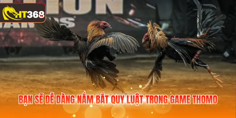 Bạn sẽ dễ dàng nắm bắt quy luật trong game Thomo