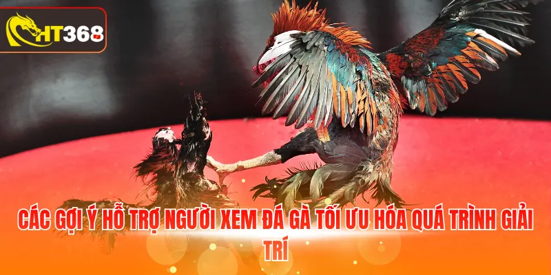 Các gợi ý hỗ trợ người xem đá gà tối ưu hóa quá trình giải trí