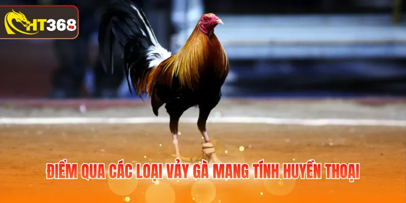 Điểm qua các loại vảy gà mang tính huyền thoại