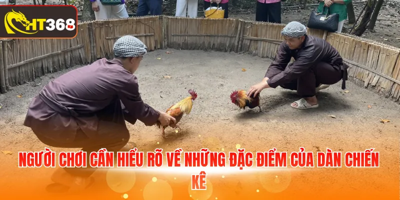 Người chơi cần hiểu rõ về những đặc điểm của dàn chiến kê