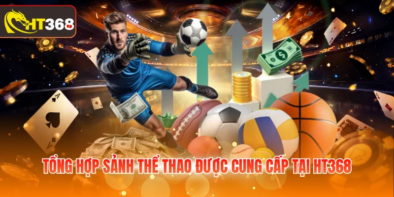 Tổng hợp sảnh thể thao được cung cấp tại HT368